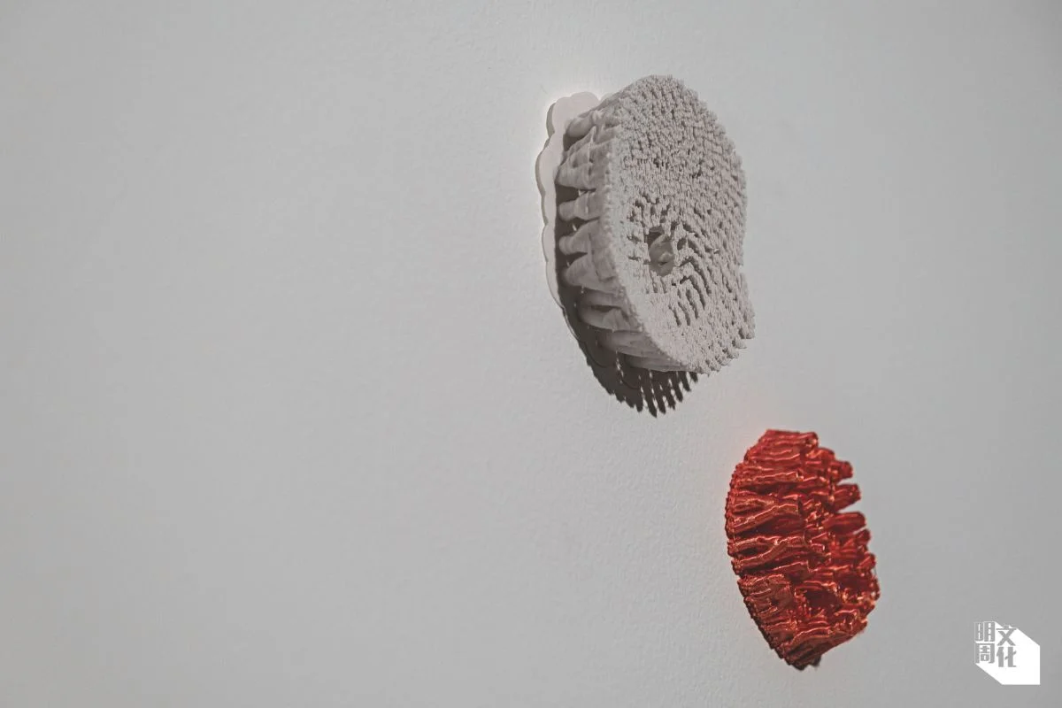 蘇詠寶《拆卸珊瑚》，2025，裝置尺寸可變。 材料：3D打印支撐 