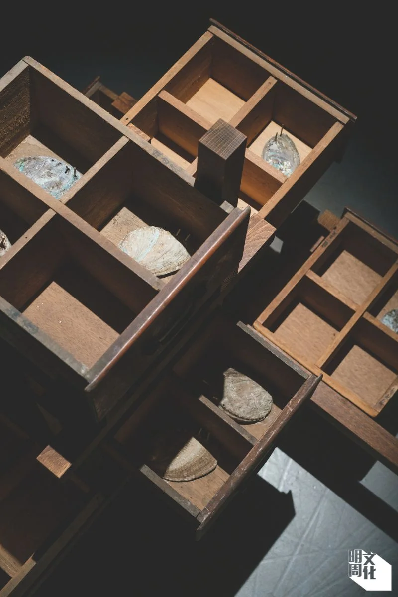 經營藥舖的父親未必理解蘇詠寶看待藥材的角度，但作品中使用的一些鮑魚殼，卻是他特意請酒樓留下來的。