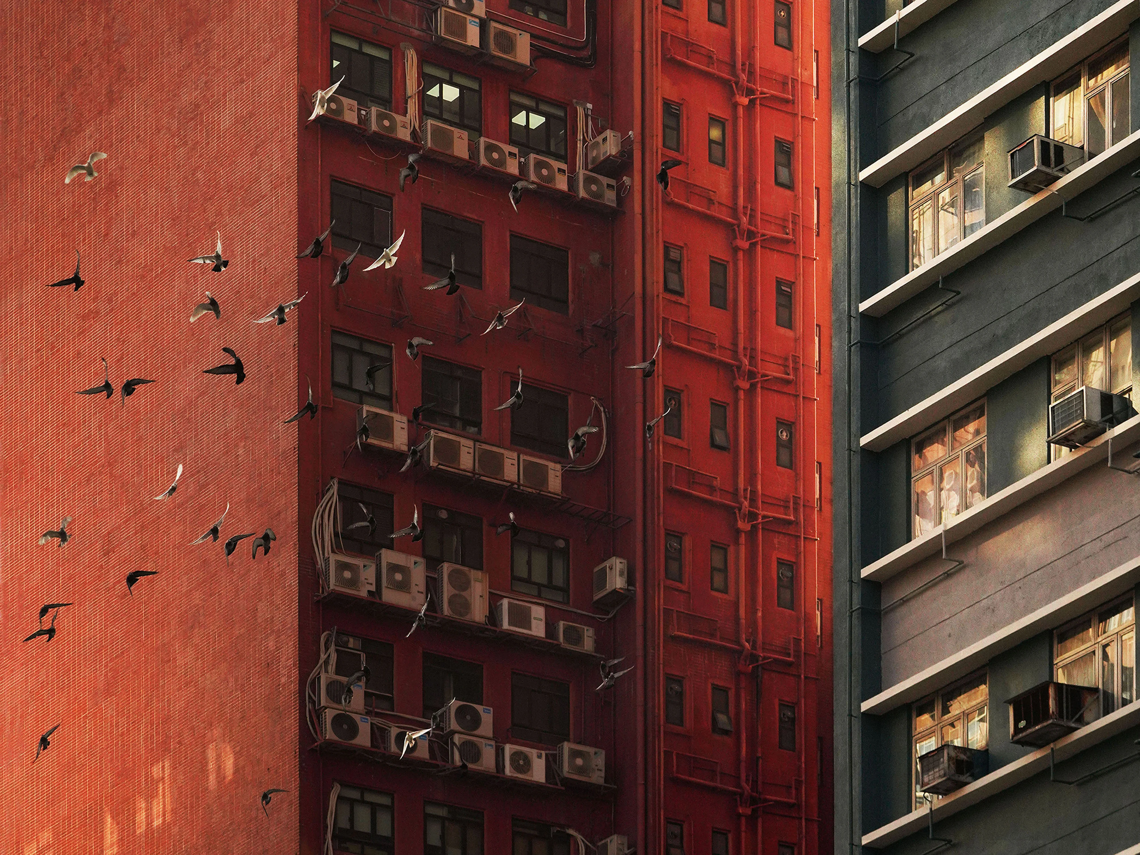 Romain Jacquet-Lagrèze, Echoes of Flight, Hong Kong, 2025, Courtesy of Blue Lotus Gallery.