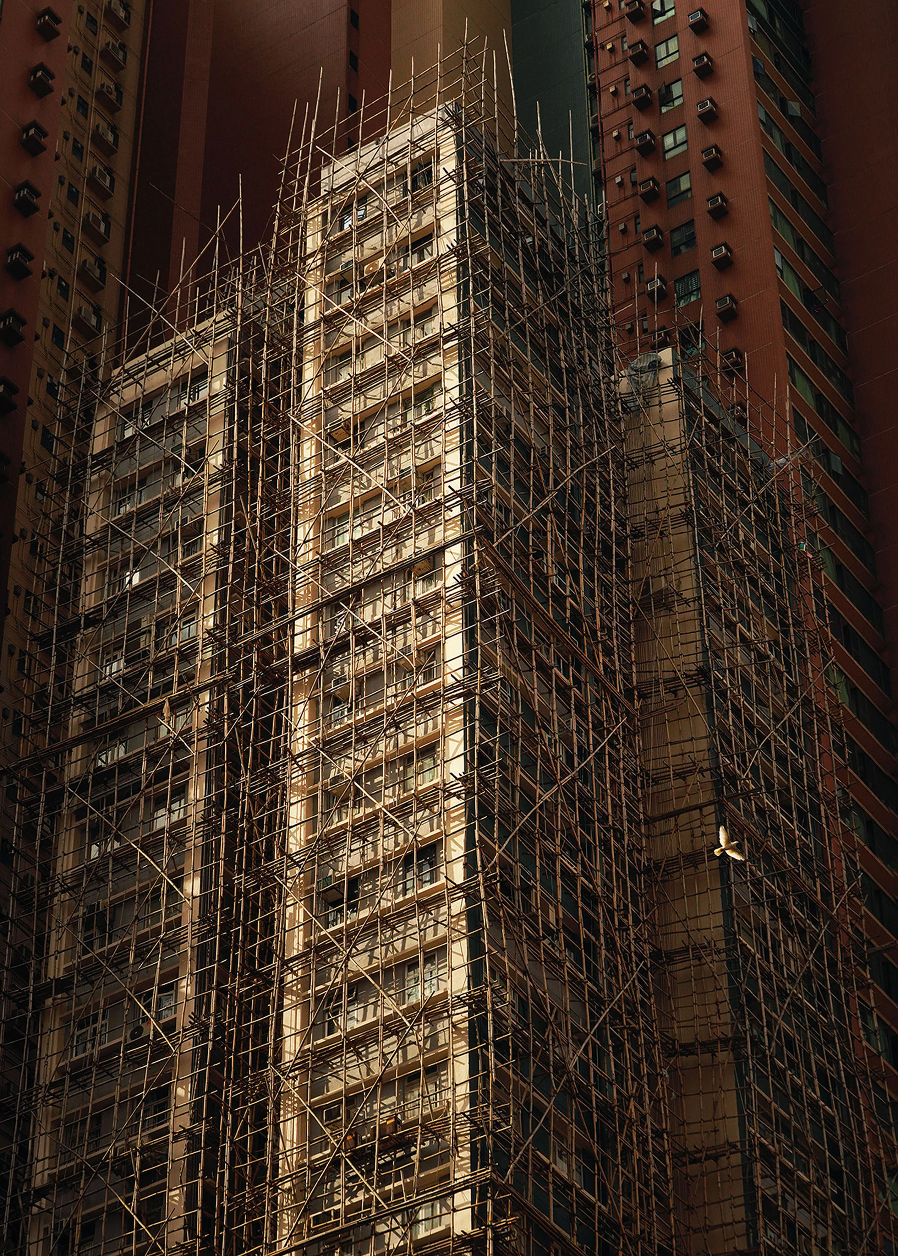 Romain Jacquet-Lagrèze, Escape, Hong Kong, 2024, Courtesy of Blue Lotus Gallery.
