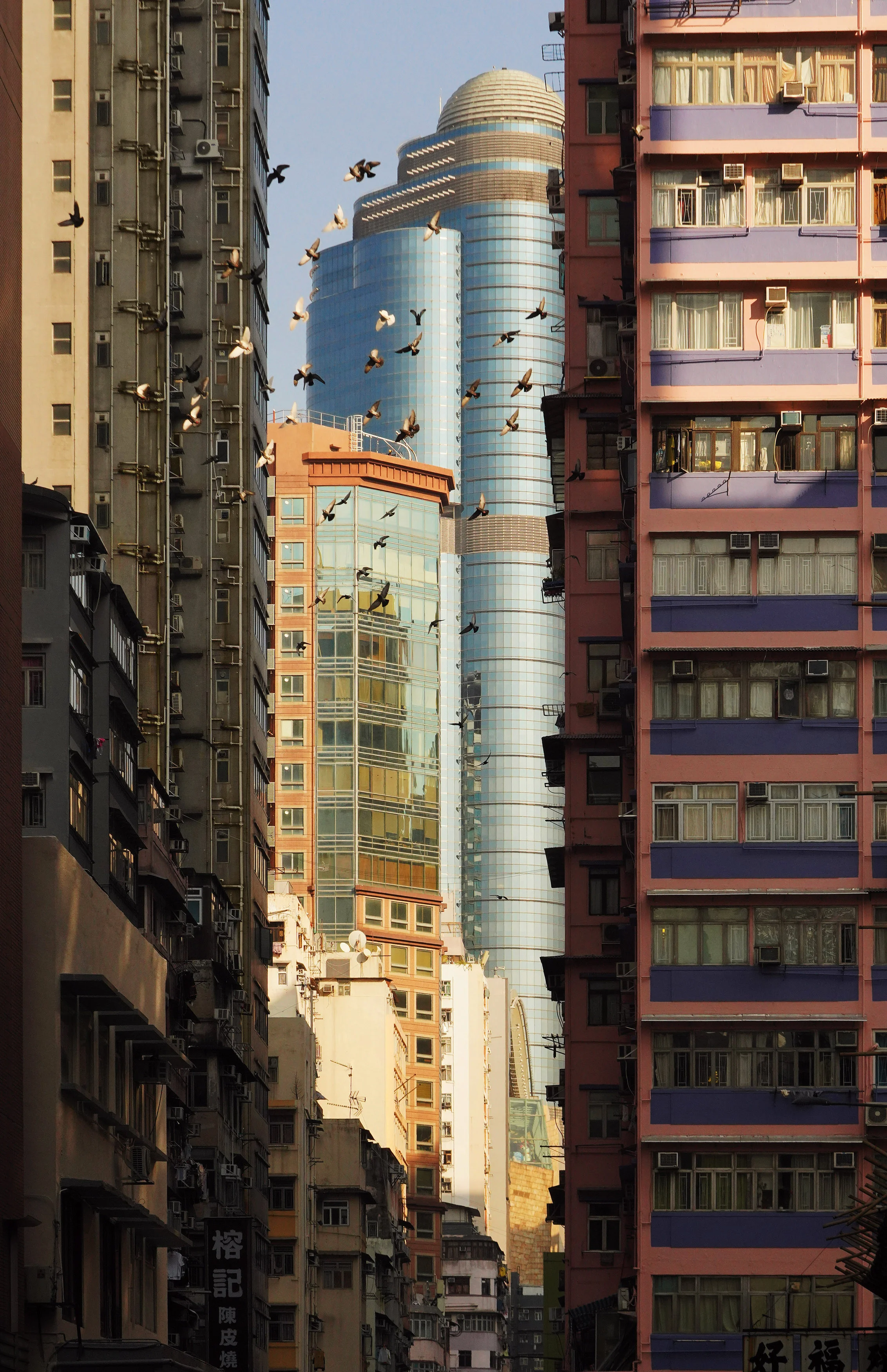 Romain Jacquet-Lagrèze, Flock over Mong Kok, Hong Kong, 2025, Courtesy of Blue Lotus Gallery.
