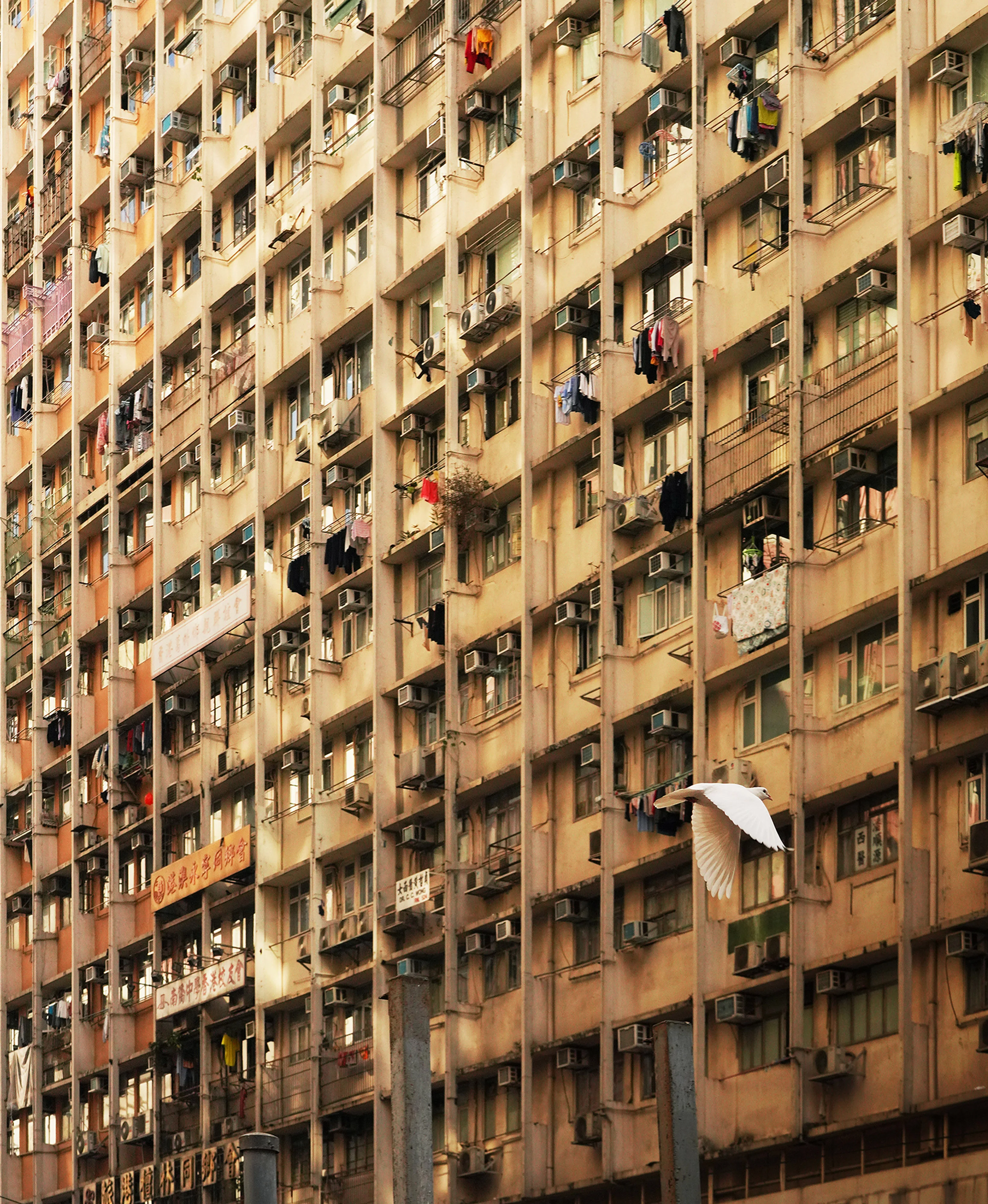 Romain Jacquet-Lagrèze, Flying Low, Hong Kong, 2025, Courtesy of Blue Lotus Gallery.