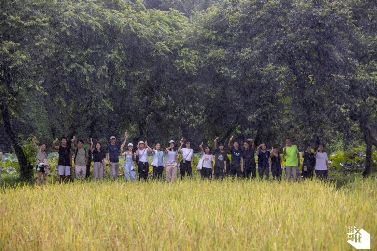 原本安排大使落田耕種,但因天雨取消,改為齊聚田邊冒雨吃「花花雪條」。