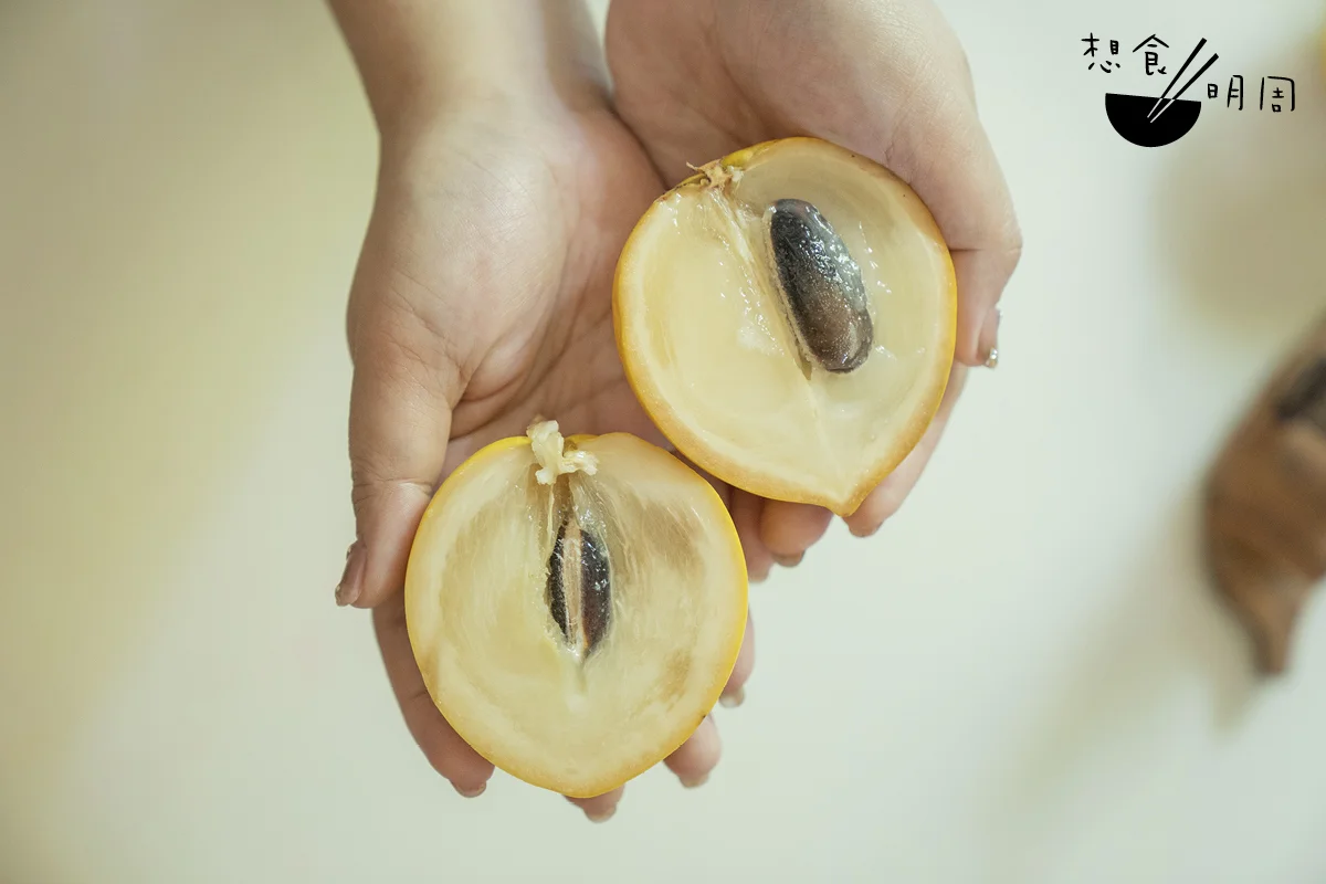 楊家農莊內種了各式各樣的水果蔬菜,現時當造的金果亦是得意收成。