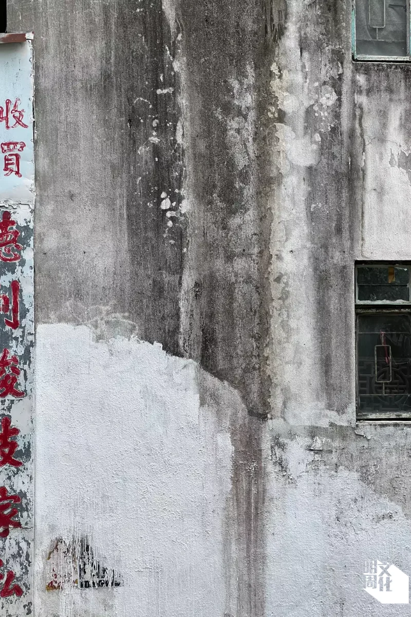 建築師亦曾到港考察，圖為上環建築外牆的生物鏽蝕。（圖片來自研究網站，Adam Hudec攝）