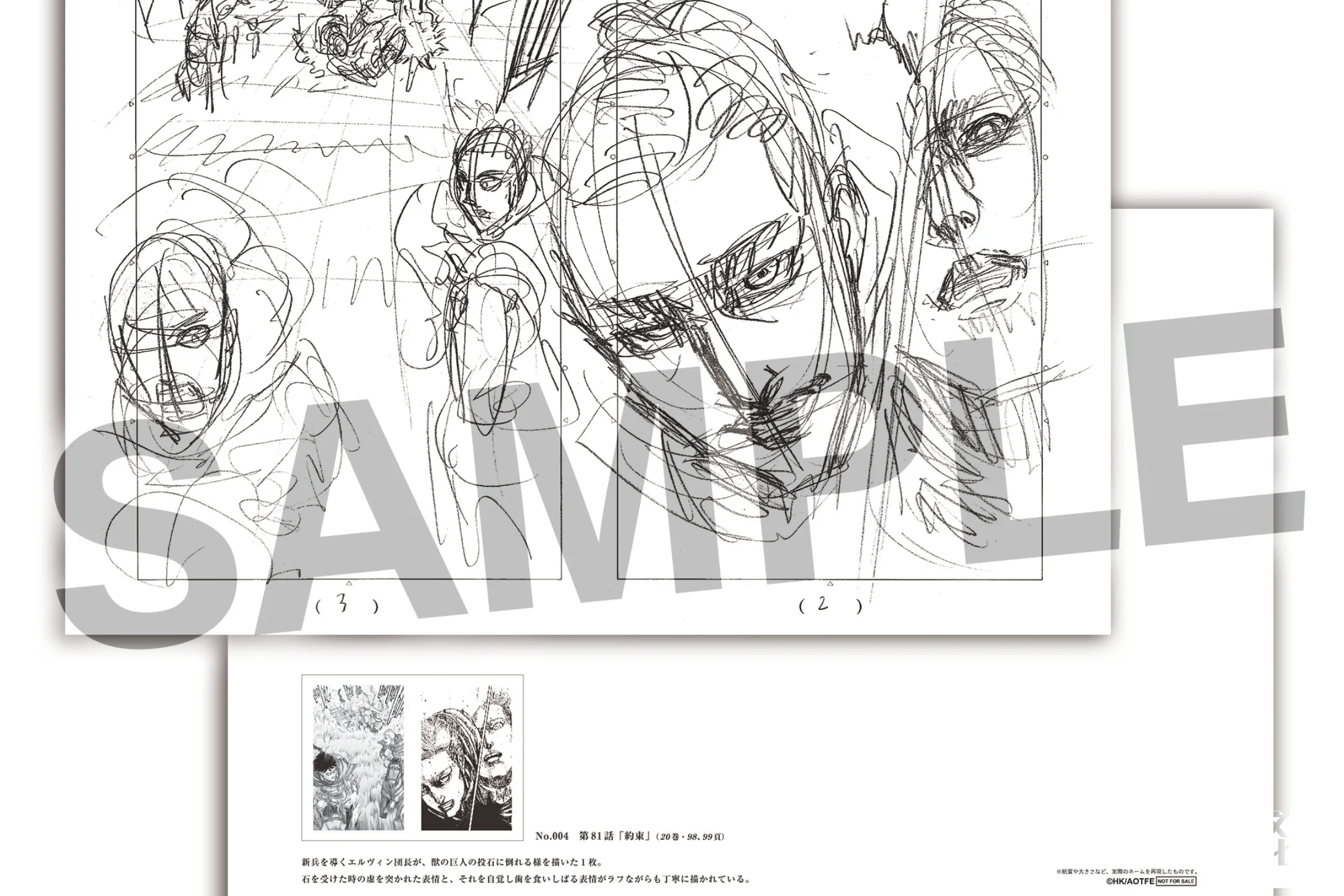 從日本空運逾200幅複製原畫