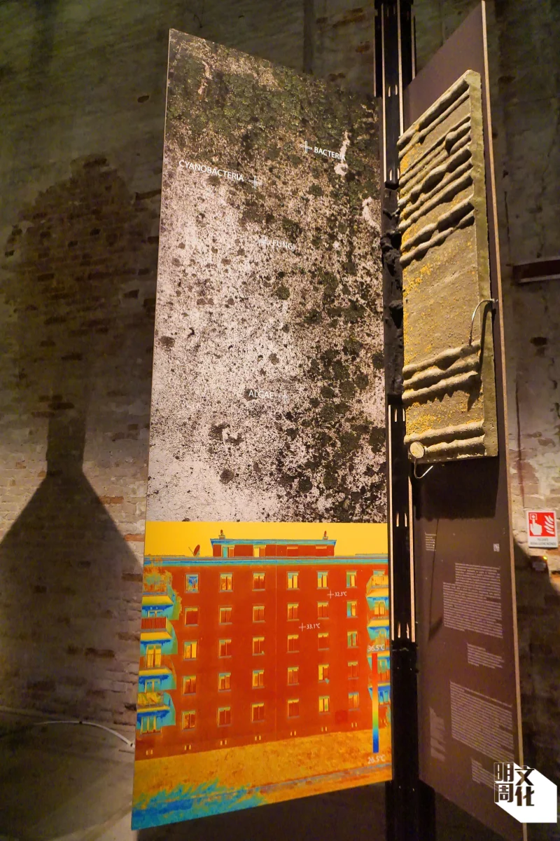 現場展出一塊鋪滿生物鏽蝕的石屎外牆。（Marco Zorzanello攝）