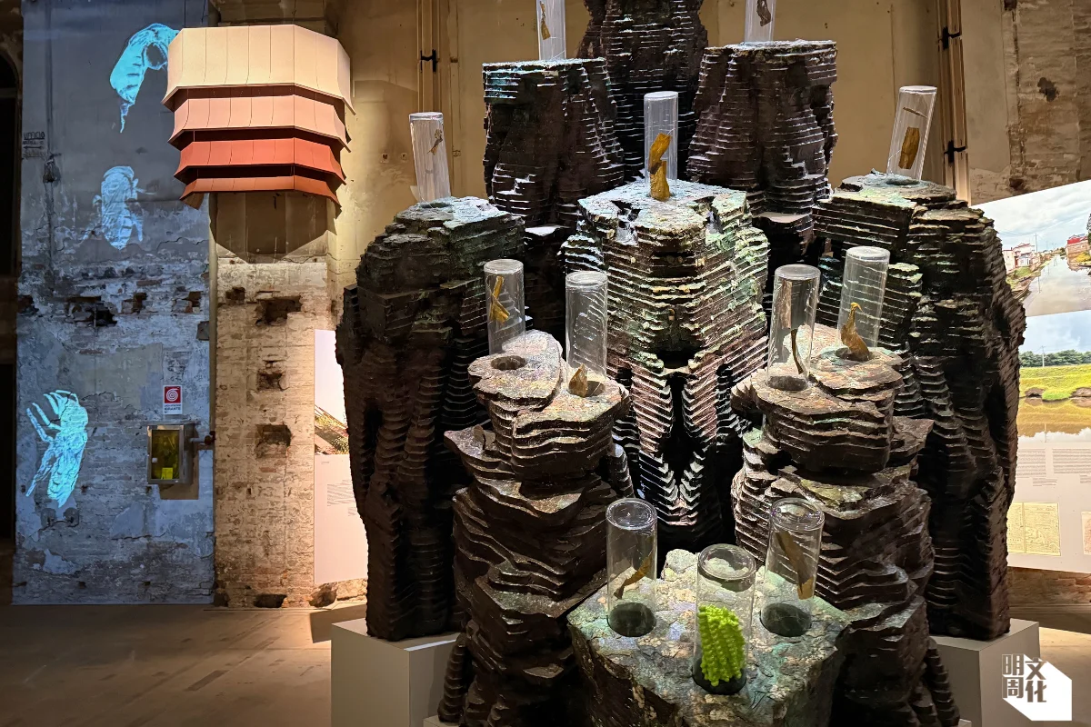 活體海藻成為記憶體 Coding Plants