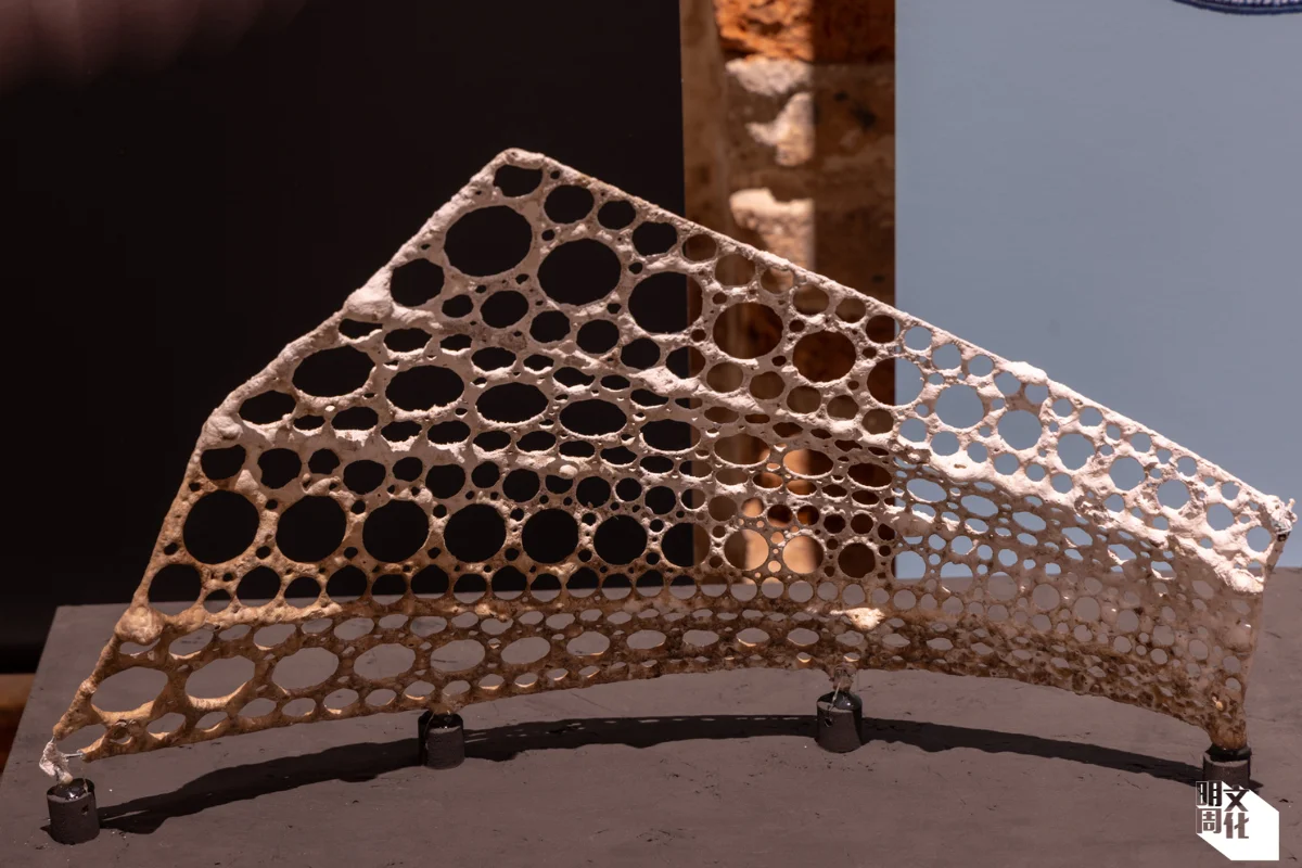 用電極令礦物質自行長成建築 The Biorock Pavilion（Marco Zorzanello攝） 