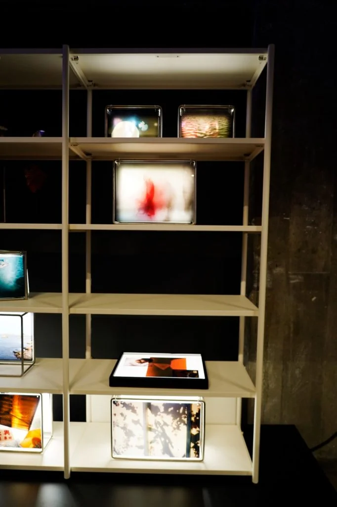 whatsapp-image-2025-10-31-at-2-17-46-pm