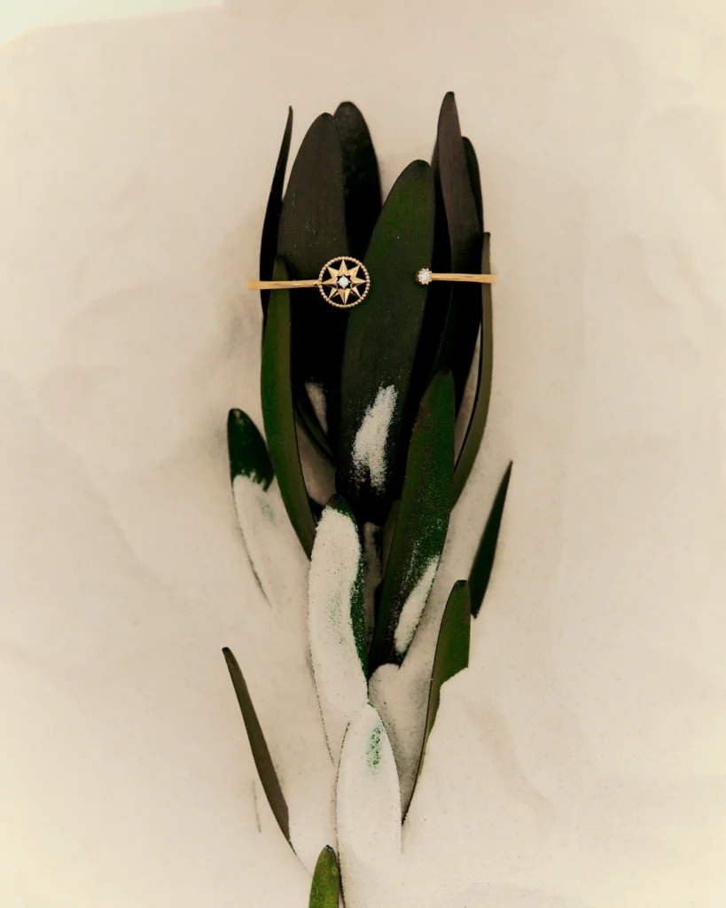 ROSE DES VENTS BRACELET, DIOR