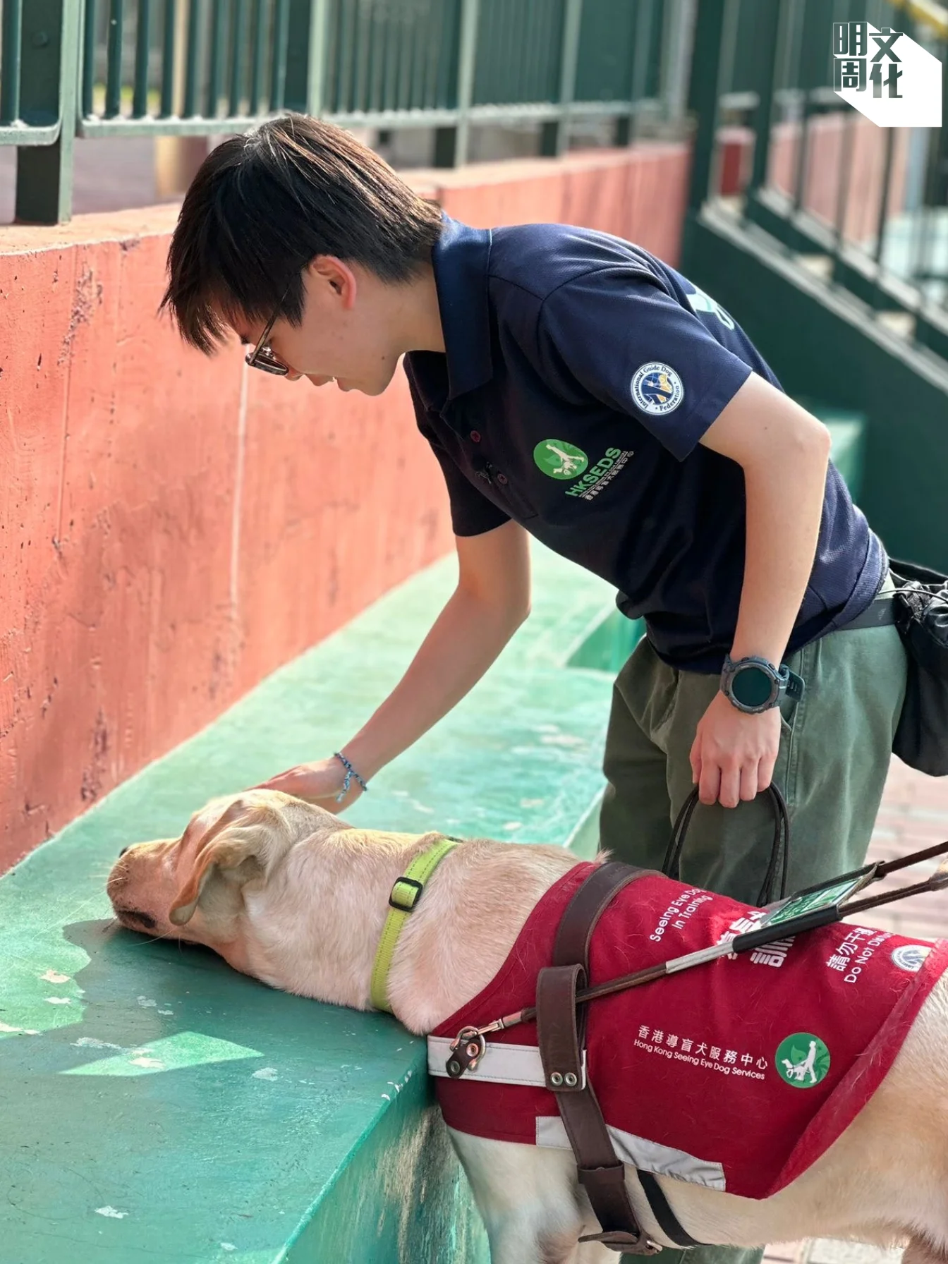 (由香港導盲犬服務中心提供)