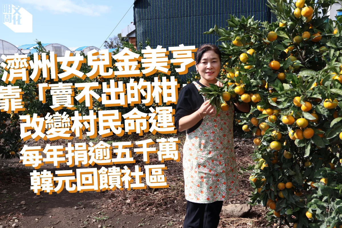 濟州故事之二｜女人和柑】濟州女兒金美亨靠「賣不出的柑」改變村民命運每年捐逾五千萬韓元回饋社區「只會賺錢，又有甚麼用呢？」 -社會- 明周文化