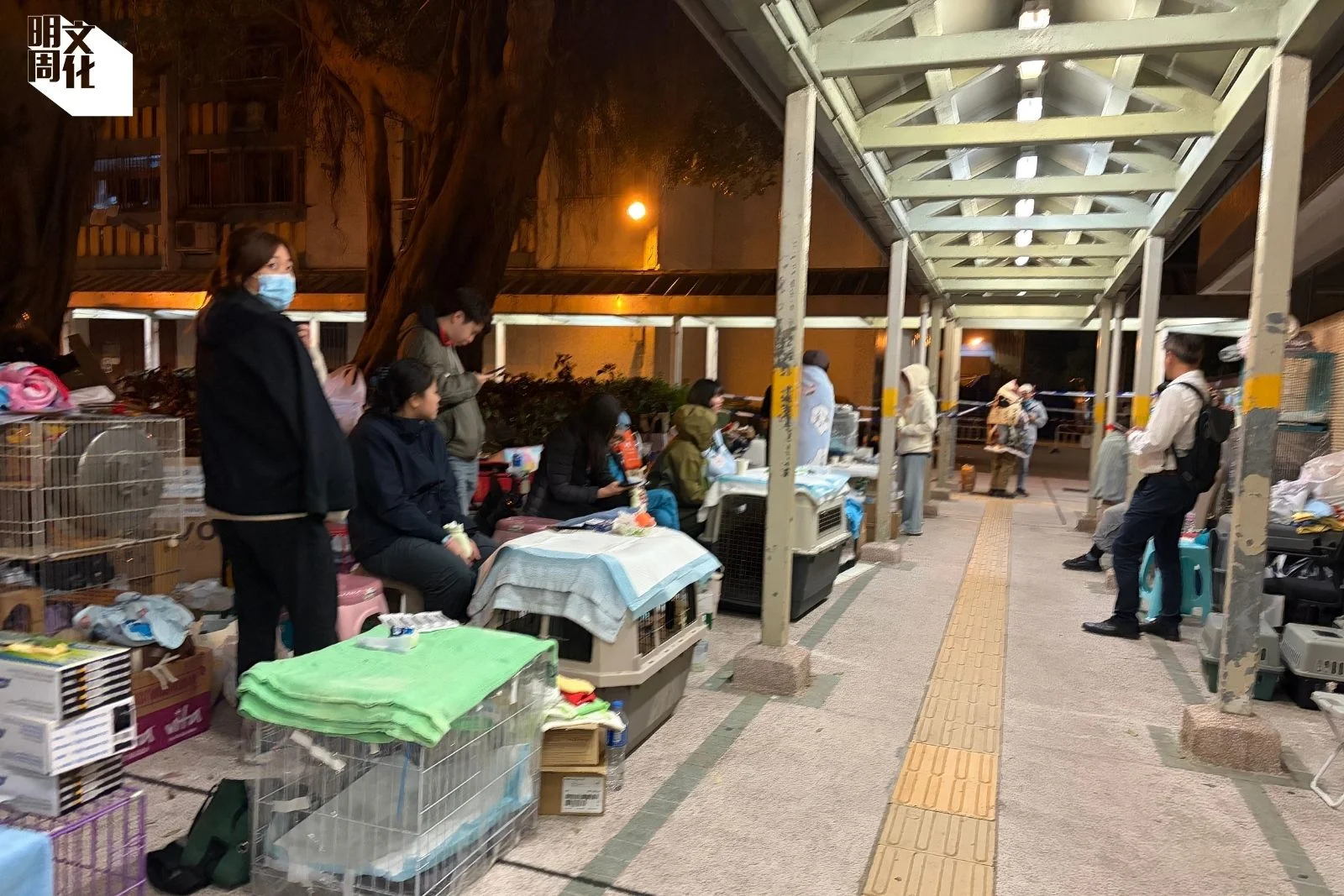 有寵物救援組織連日在宏福苑旁建立救援站