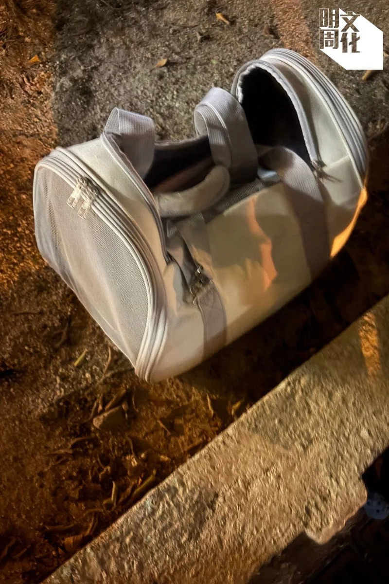 洪伯伯原本提着貓袋接回自己的狸花貓傑仔，惟他至今仍未找到傑仔。