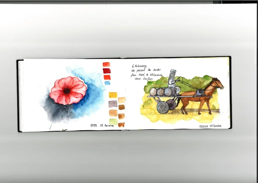 騎著驢，拉木頭車的男人。＠MSF 