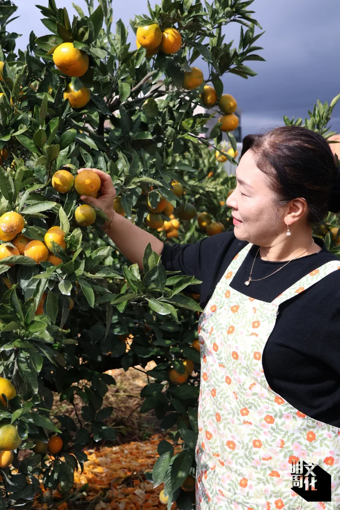 %e7%9b%b4%e5%80%92%e7%9b%b8logo-3