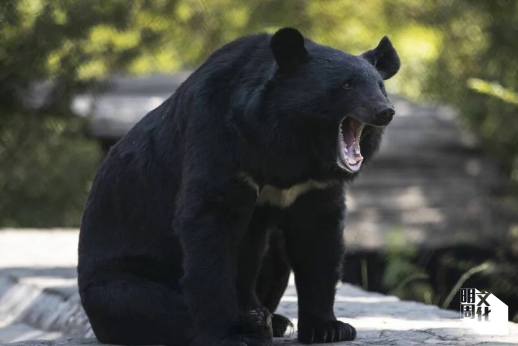 %e6%a9%ab%e5%80%92%e7%9b%b8logo-60