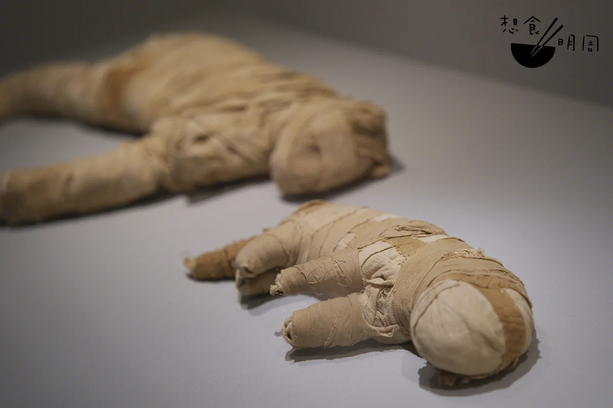 薩卡拉的神聖動物墓地埋葬了數十萬隻貓木乃伊,牠們多為幼貓,許多並非自然死亡,絕大多數僅以亞麻布包裹,並層層堆叠、進行集體埋葬。