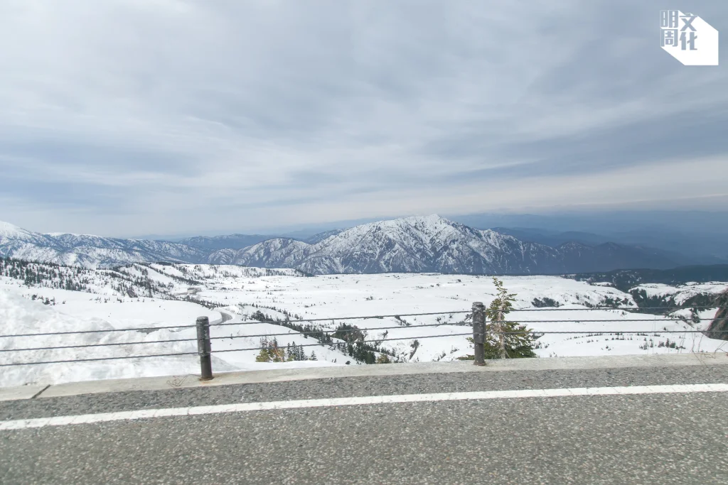 %e6%a9%ab%e5%80%92%e7%9b%b8logo-70