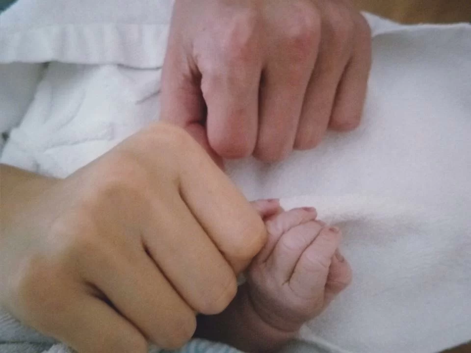 17903342_1430755196962977_3332006634056688771_n