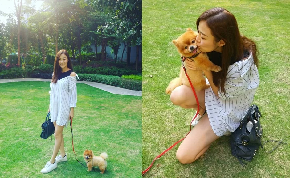 18358614_422223021483770_4807732548203016894_o-horz