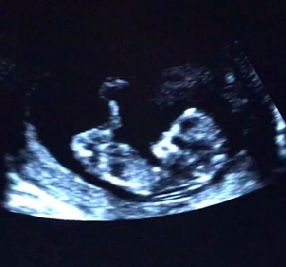 screen-shot-2017-05-14-at-3-07-41-pm