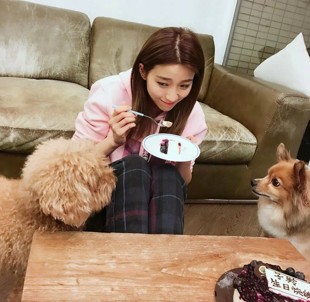 24175646_1745494618855045_938915374580105216_n