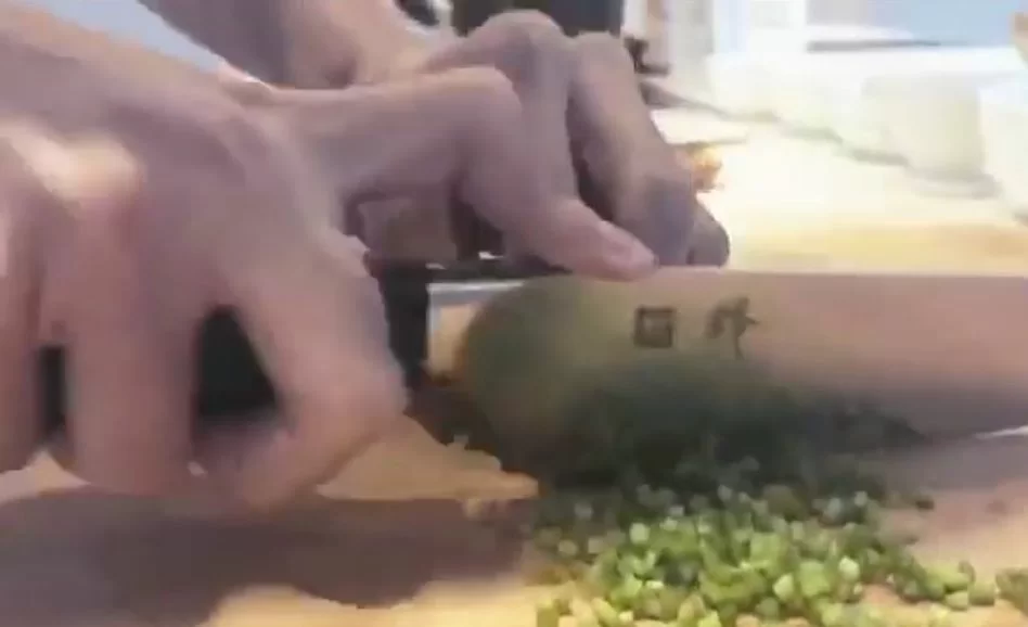 30698487_1501681529957957_2737872794560757760_o