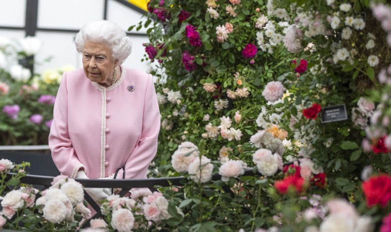 Britain's Queen Elizabeth II looks at a display of roses on the Peter Beale stand as she visits the 2018 Chelsea Flower Show in London on May 21, 2018. The Chelsea flower show, held annually in the grounds of the Royal Hospital Chelsea, opens to the public on May 22. / AFP PHOTO / POOL / RICHARD POHLE