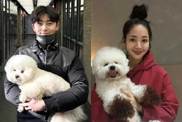 8821f9fe-8cd1-473d-a2e1-f56324e99a40