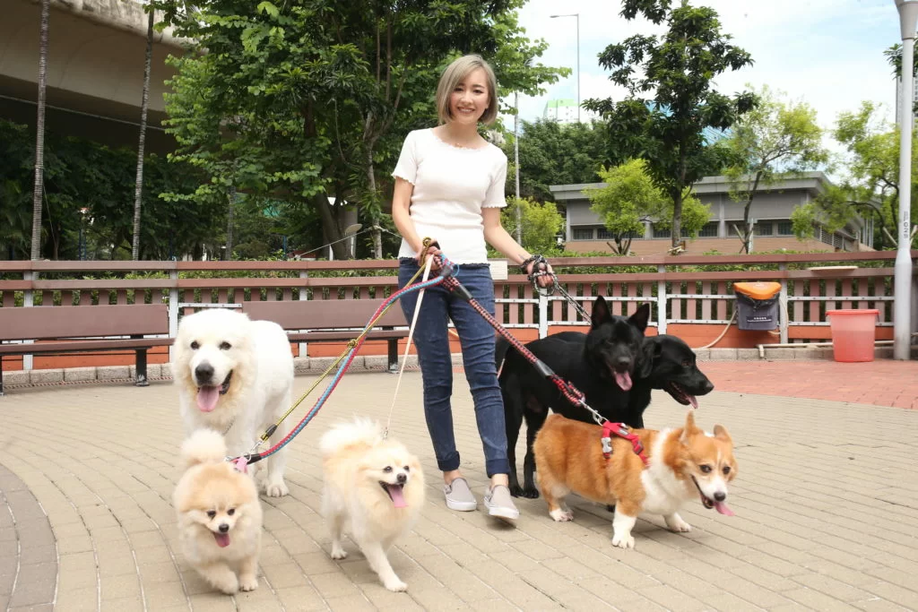 要照顧收養回來的六狗三貓，安采妮花上很多時間和金錢，但覺得很值得。