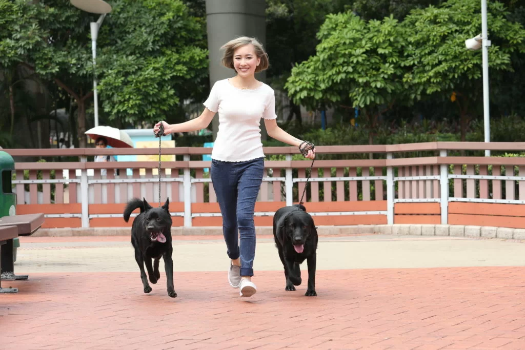 唐狗Mike（左）和拉布拉多阿寶（右）很喜歡跑步，來到公園便拔足狂奔。