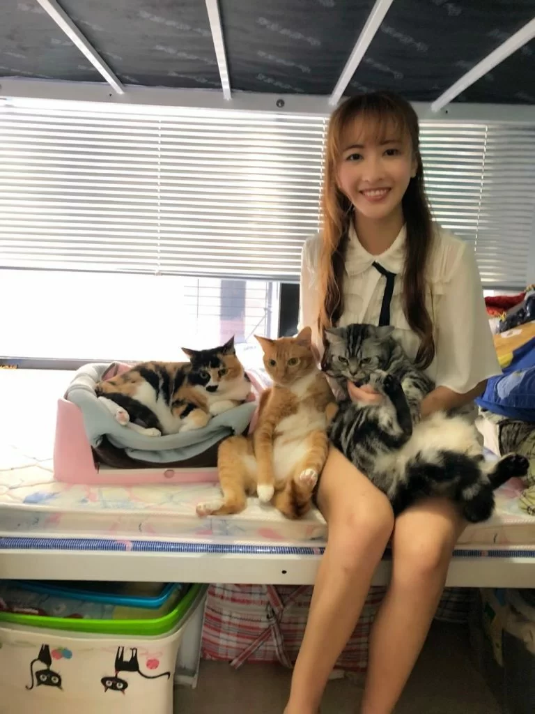 （左起）Momo、Moco和Coco都是安采妮收養回來。