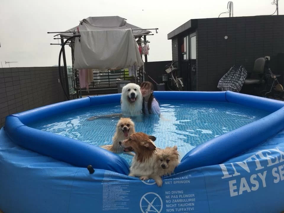 村屋活動空間較大，閒時可以在天台游泳，十分寫意。