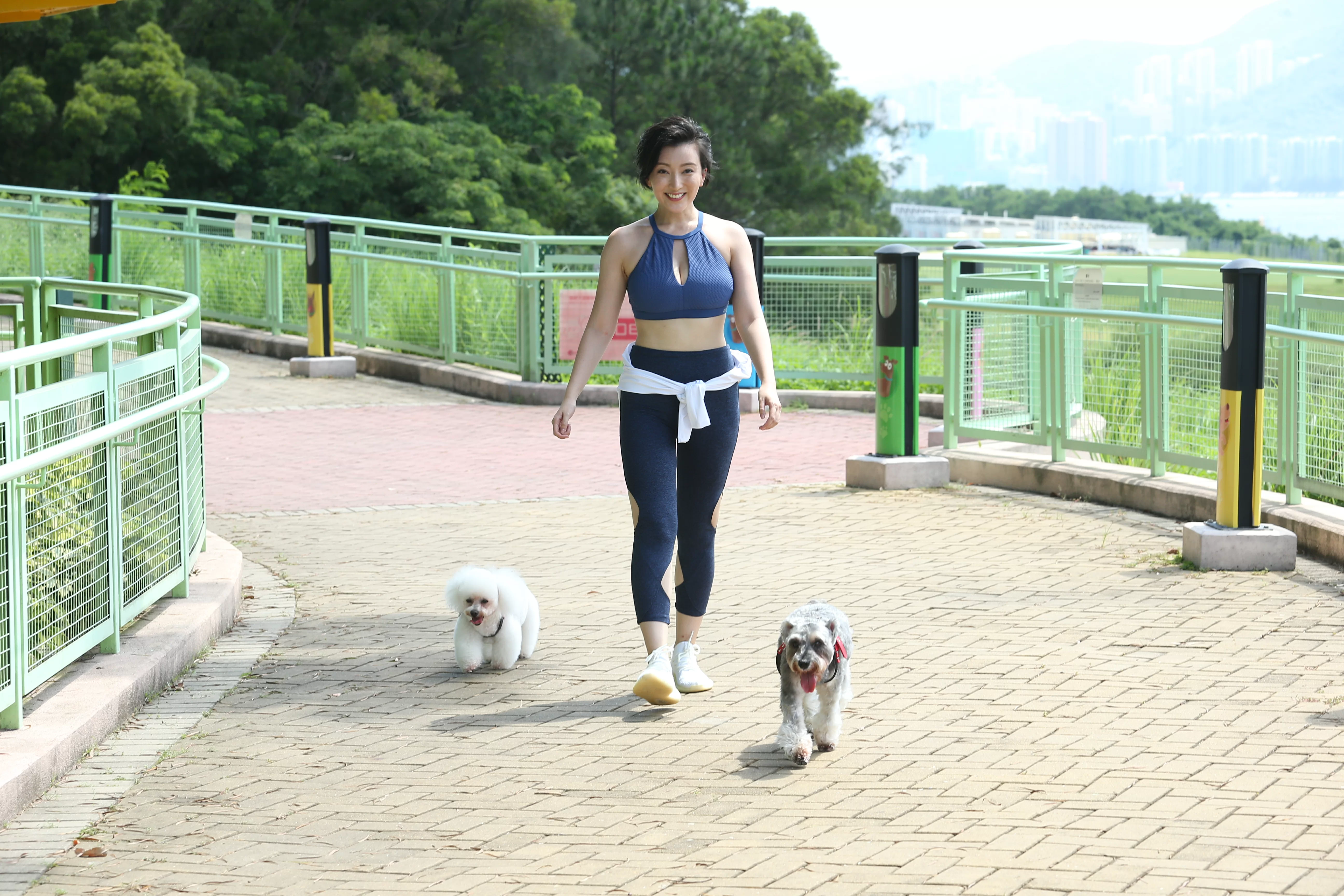 天生性格是弱者的元寶,經常被旺財欺負,但牠完全不反抗。