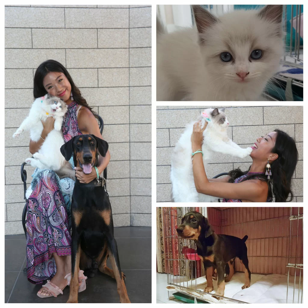 毛毛和兵仔從小相識，但體型相差太遠不能一齊玩