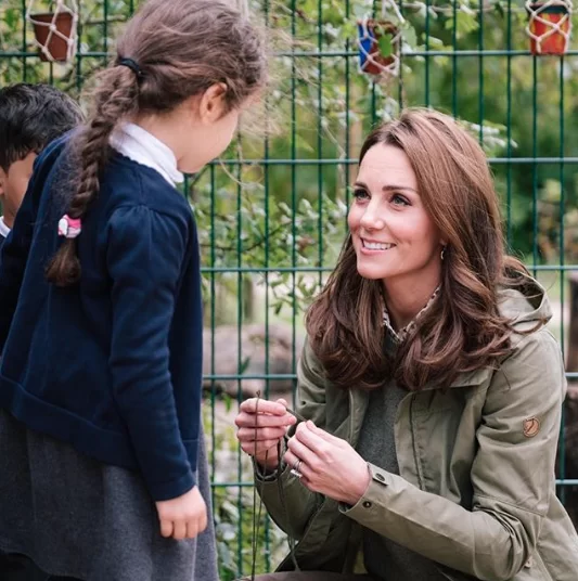 screen-shot-2018-10-04-at-7-36-10-pm