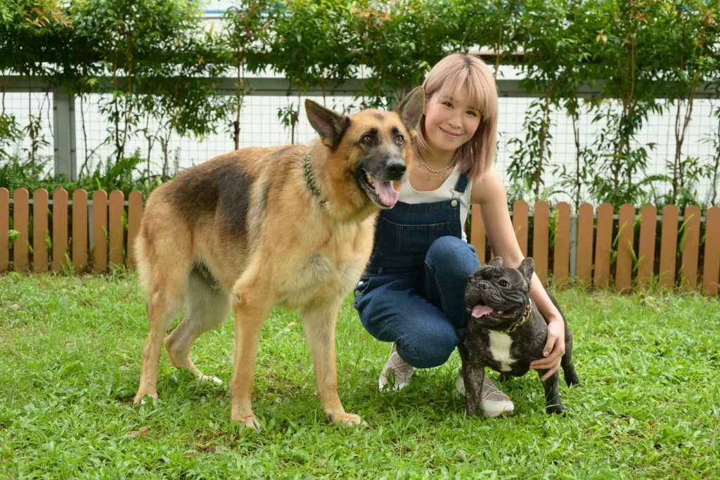 思迦最喜歡扁鼻的貓狗，覺得樣子蠢鈍鈍，十分可愛，唯一要注意是牠們的呼吸問題。
