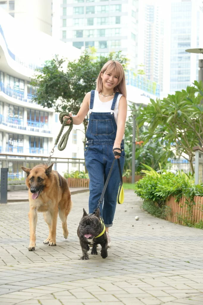 五歲的狼狗Ken接受過訓練，性格溫馴；一歲的老虎狗小虎則比較活潑。