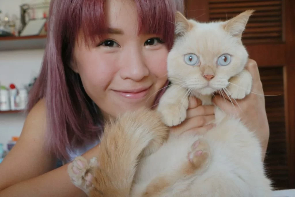 思迦家裏養了三隻貓，貓狗住在同一屋簷下，總算相處到，有時更會合作搞破壞。