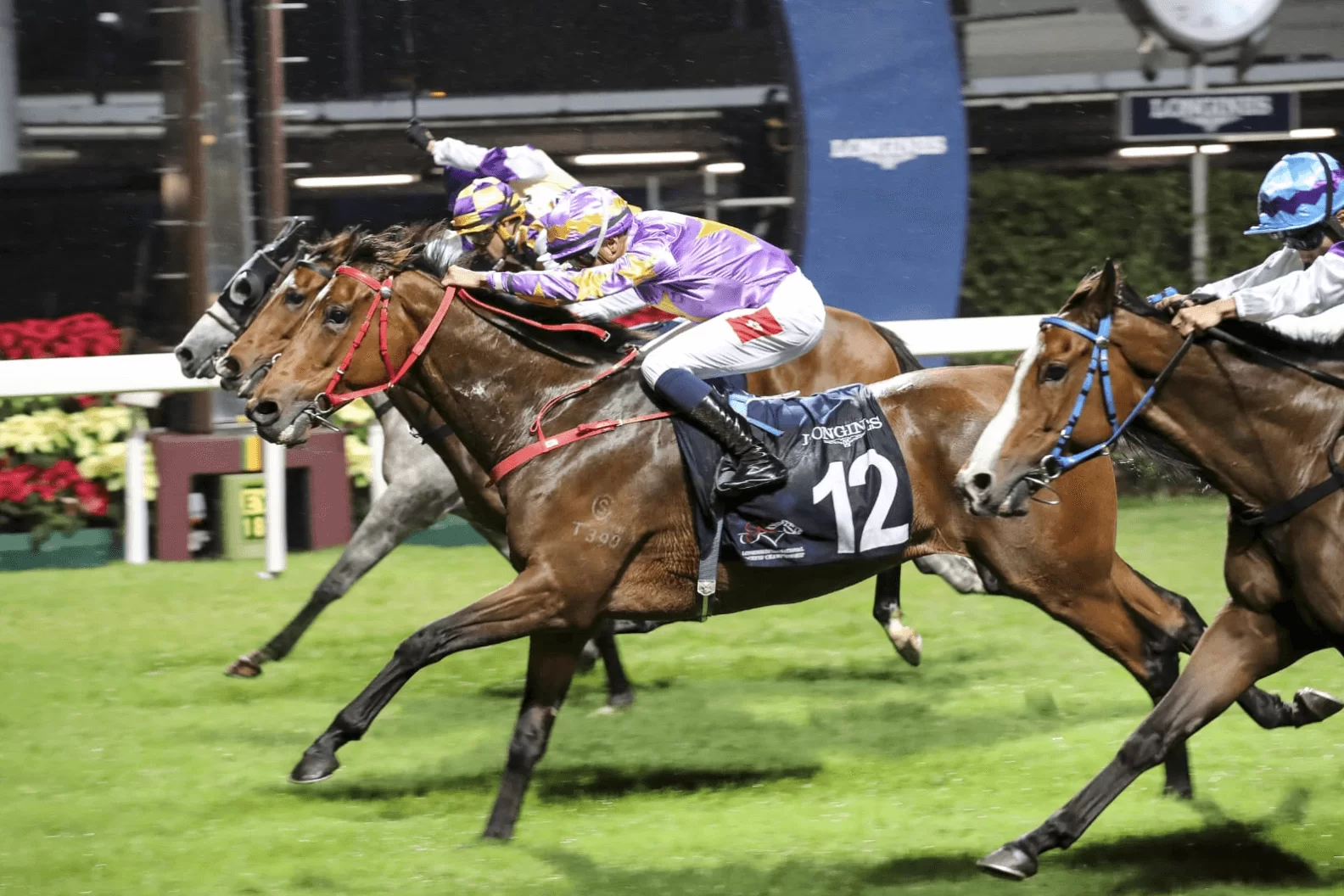 screen-shot-2018-12-06-at-3-43-25-pm