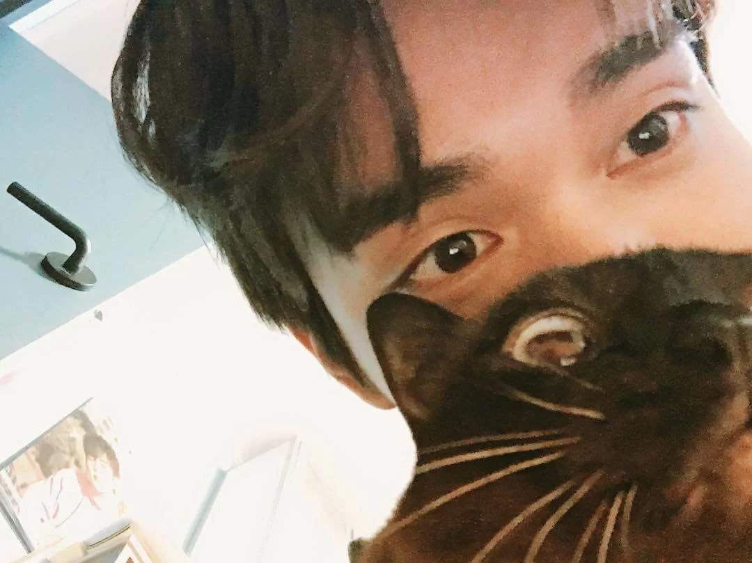 49810553_2252094688365232_6800757349933084887_n