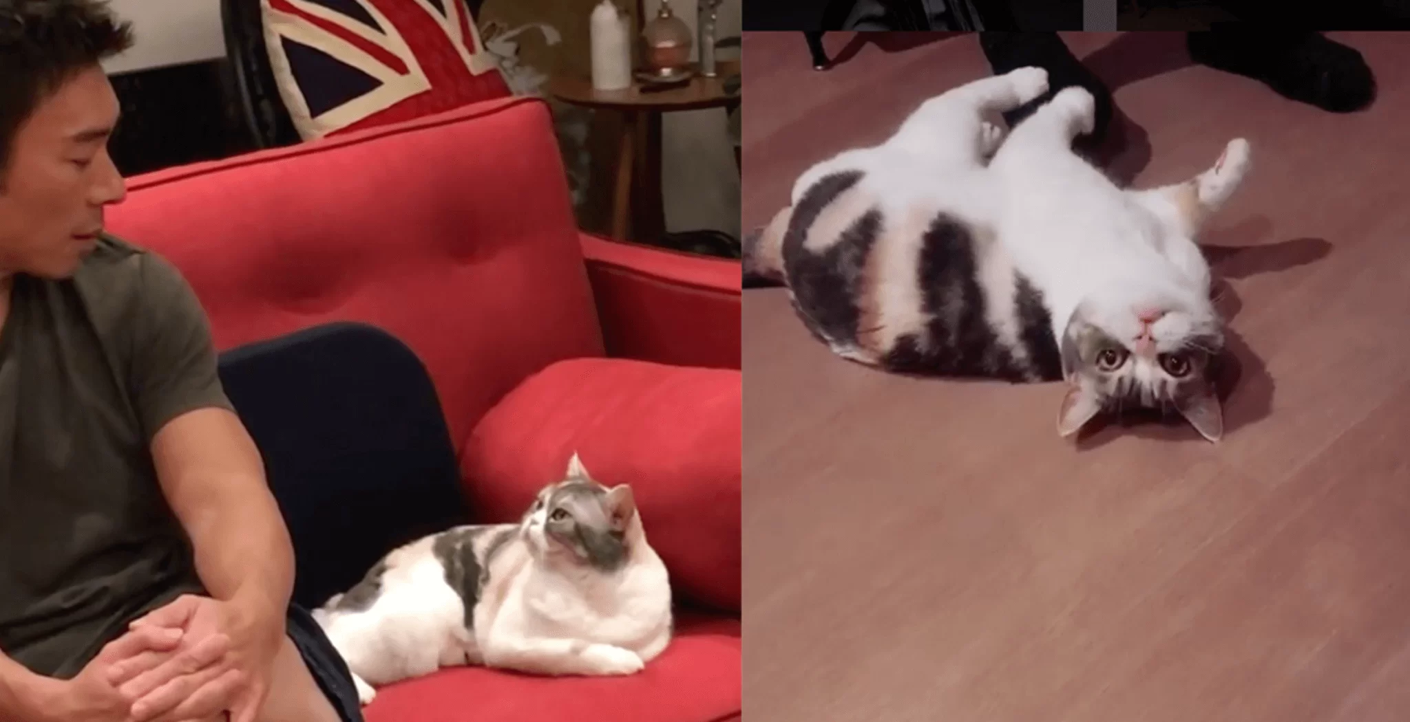 screen-shot-2019-01-03-at-1-35-58-pm