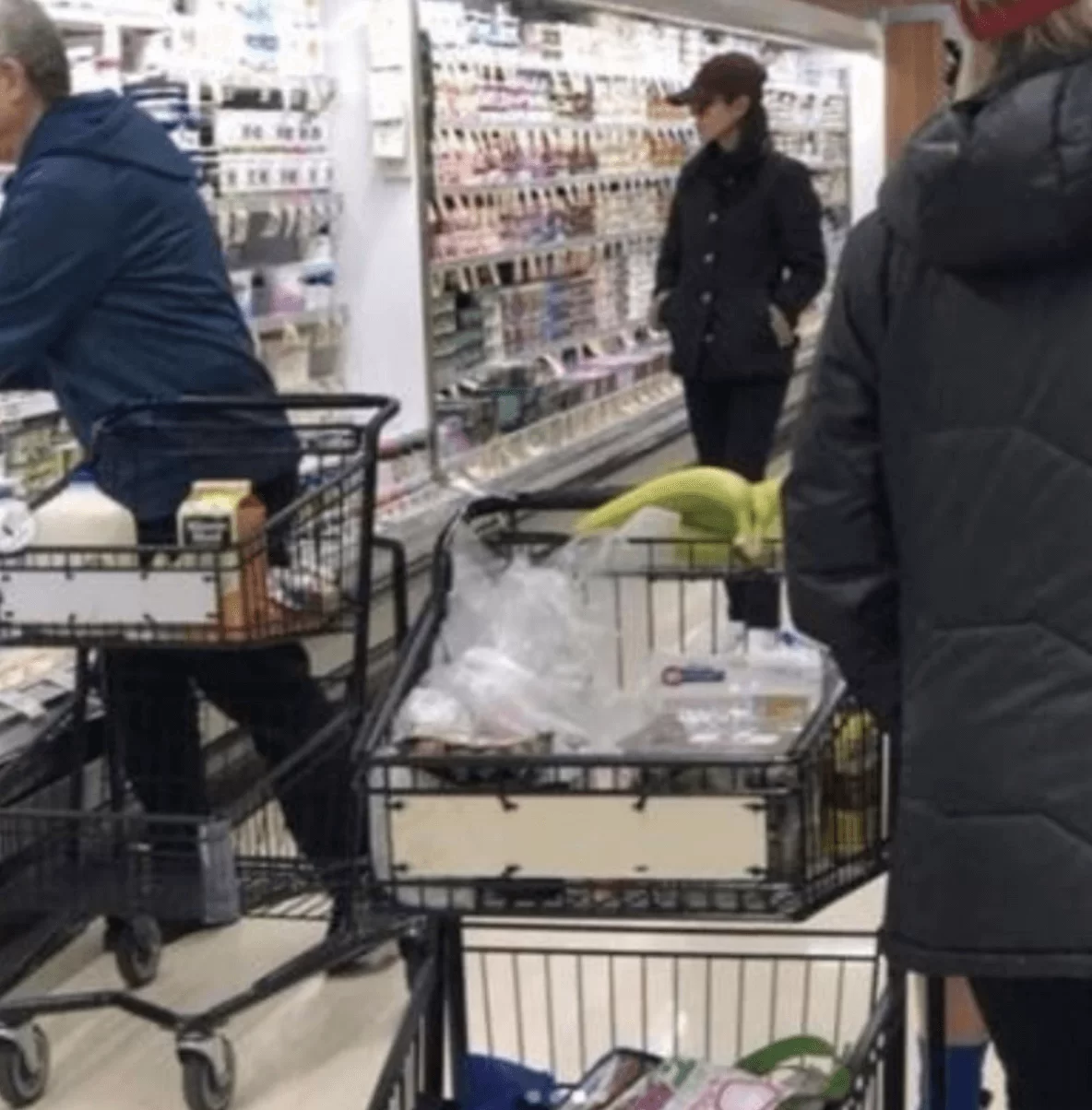 screen-shot-2019-01-21-at-4-03-00-pm