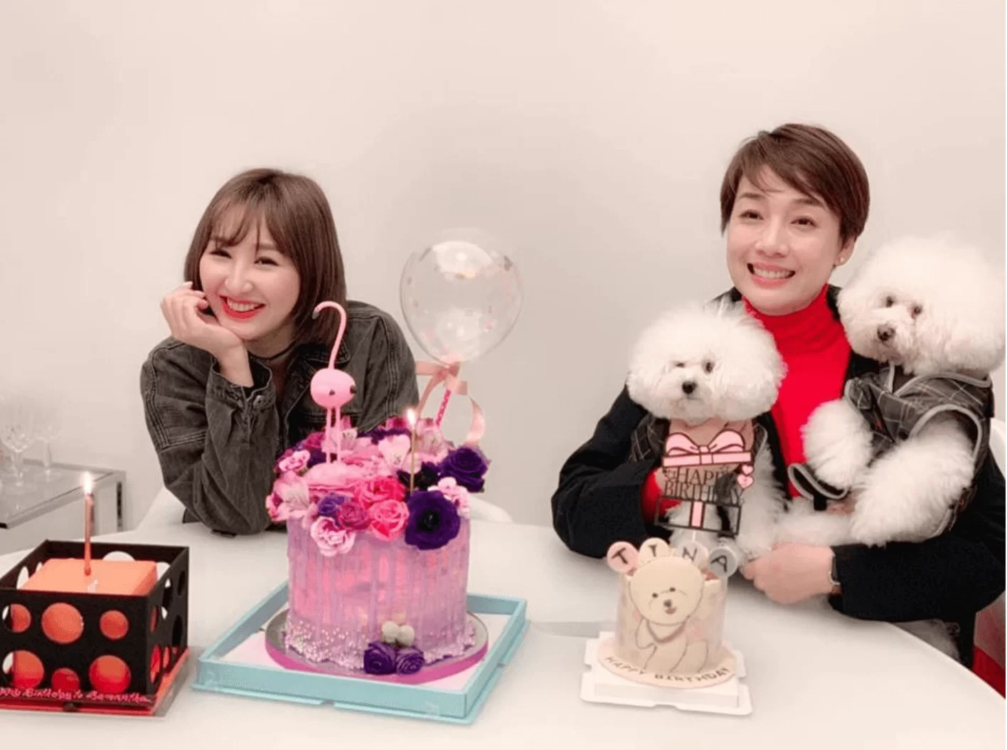 screen-shot-2019-01-23-at-4-09-40-pm