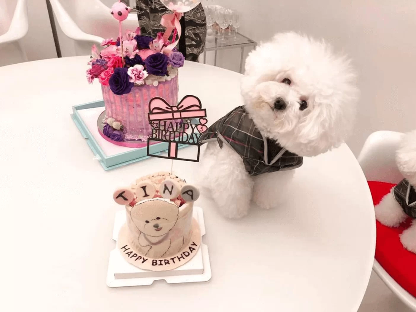 screen-shot-2019-01-23-at-4-09-58-pm