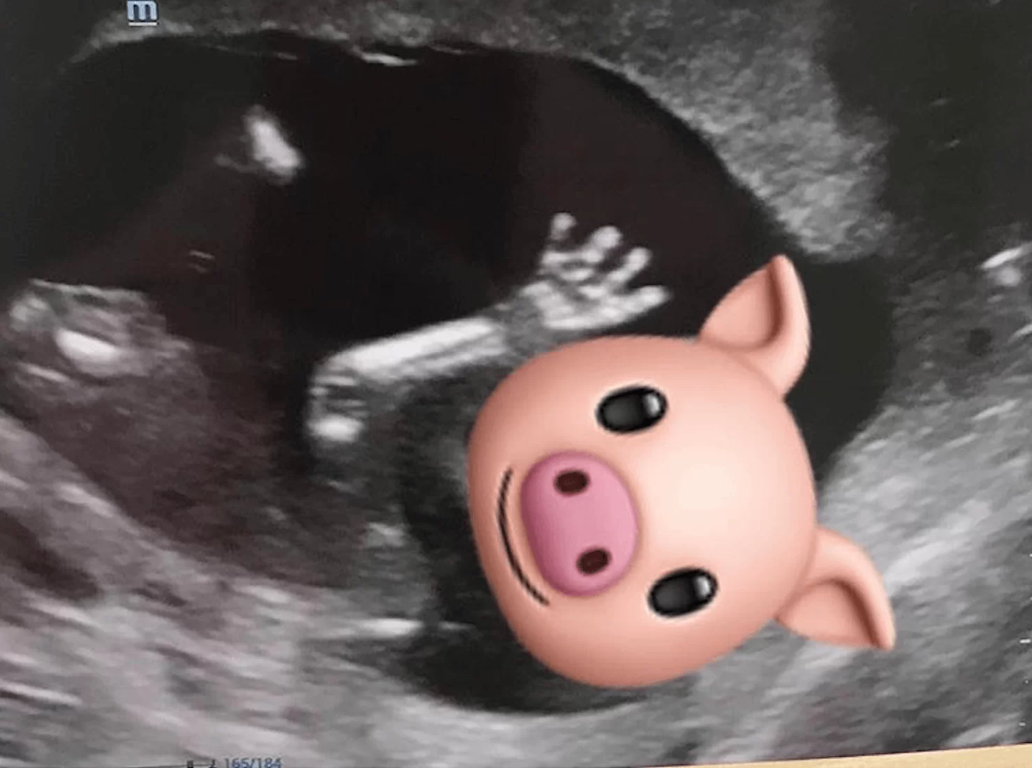 screen-shot-2019-01-29-at-1-22-47-pm