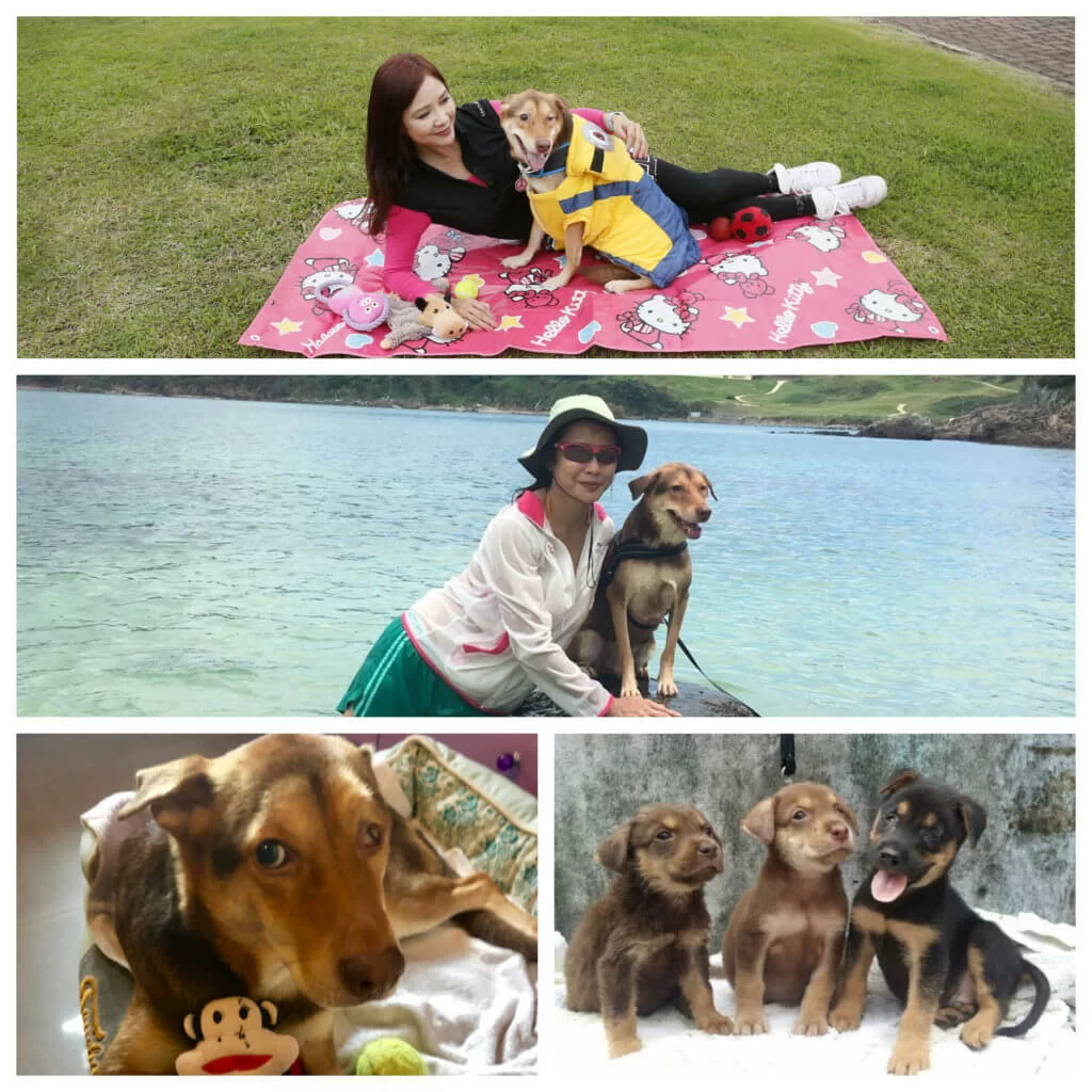 陳綺明用了兩年時間令康康解除對陌生人的戒心