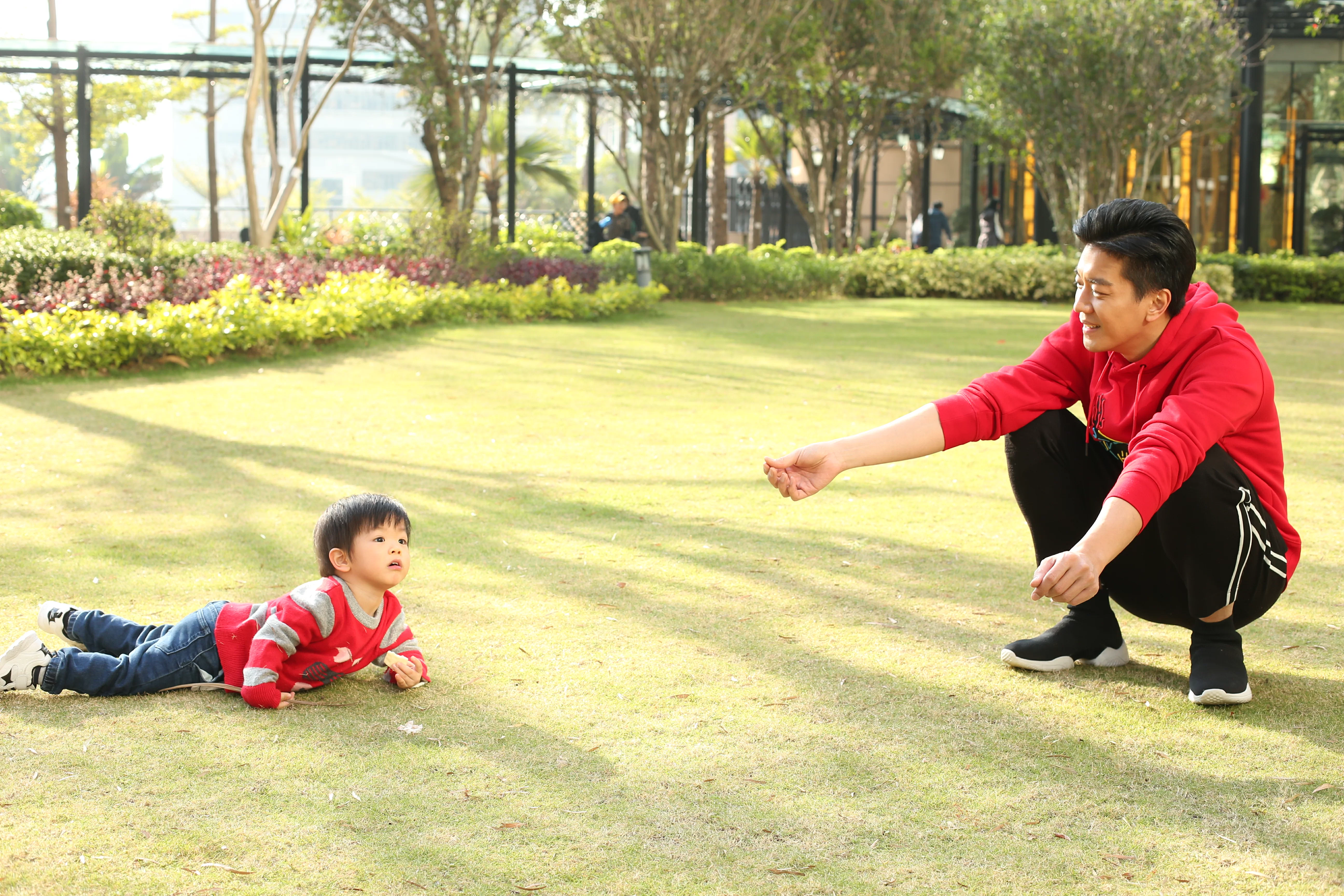 小春雞最愛在草地上執樹葉請爸爸食。